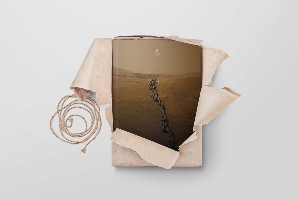 Publicamos e imprimimos tu libro. Te lo enviamos a casa y gestionamos tu perfil en Amazon KDP. 