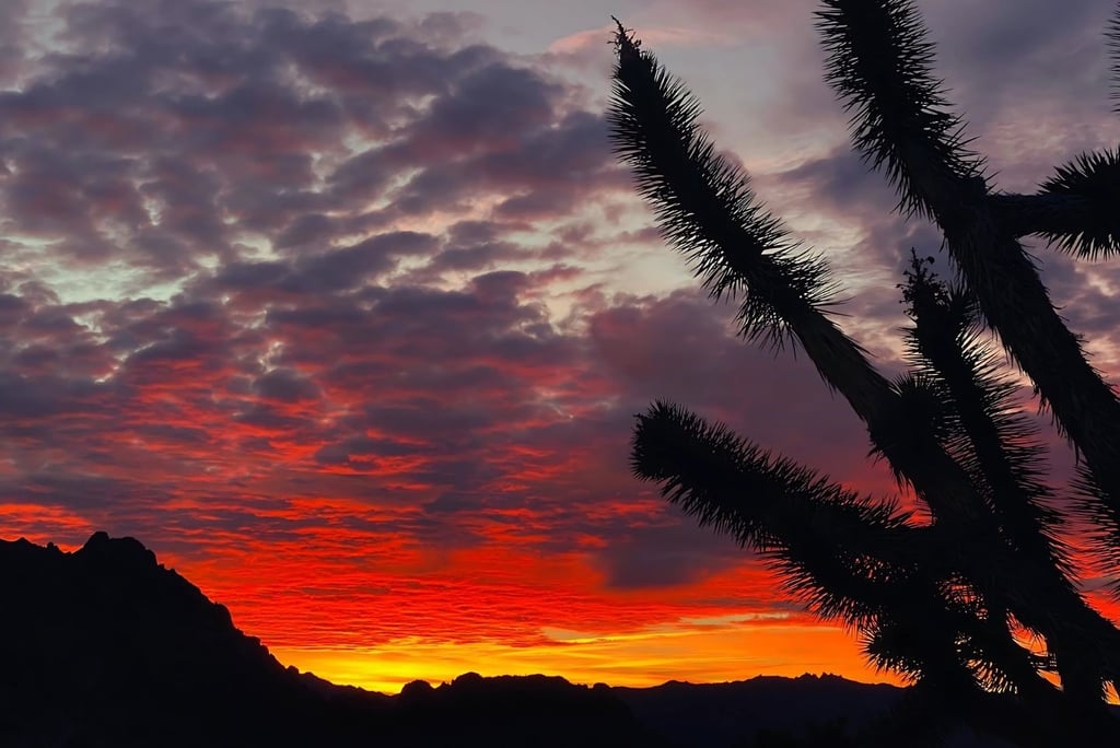 Mojave National Preserve