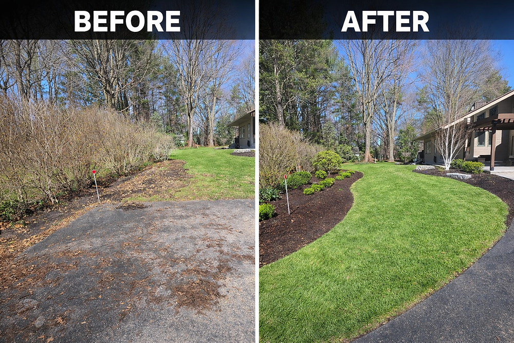 Before and after professional landscaping transformation featuring lush green grass and fresh mulch beds.