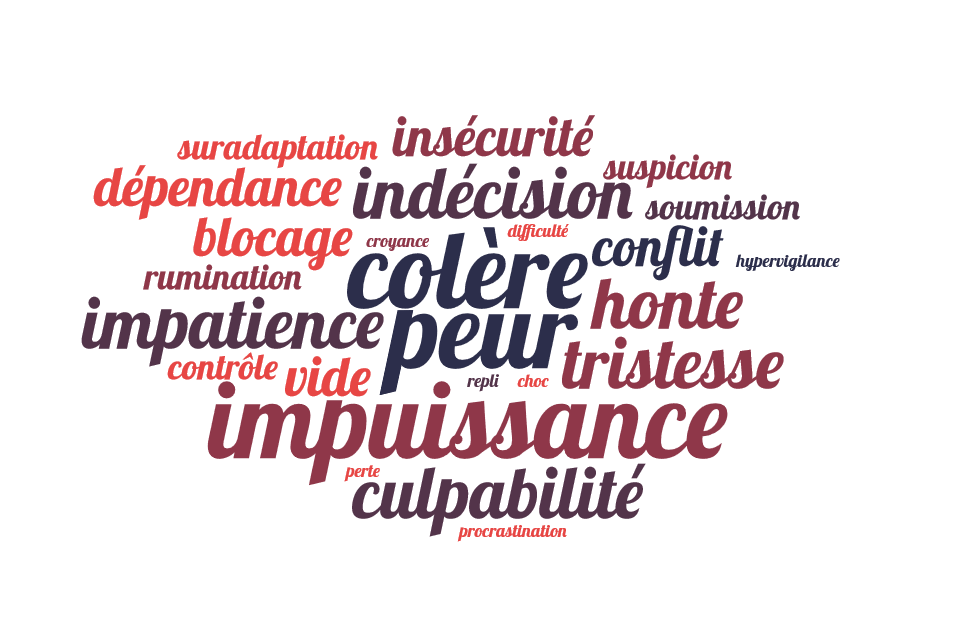 Motif de consultation colère, peur, insécurité, blocage, dépendance, tristesse, vide, conflit, difficulté, repli, culpabilité