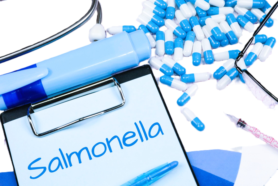 salmonella