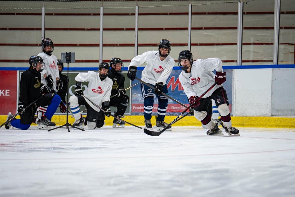 "Hockey video analysis"