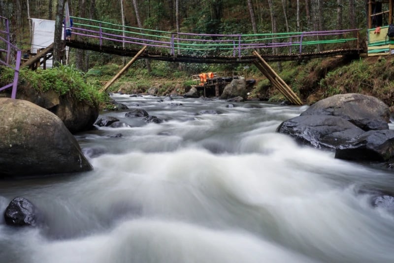 Sebuah jembatan bambu dengan pagar ungu dan hijau membentang di atas aliran sungai deras yang dikelilingi batu besar dan pepo