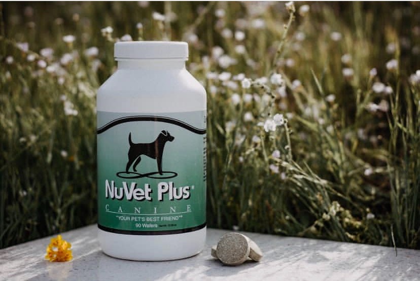 NUVET PLUS TITANIUM KILO KENNELS