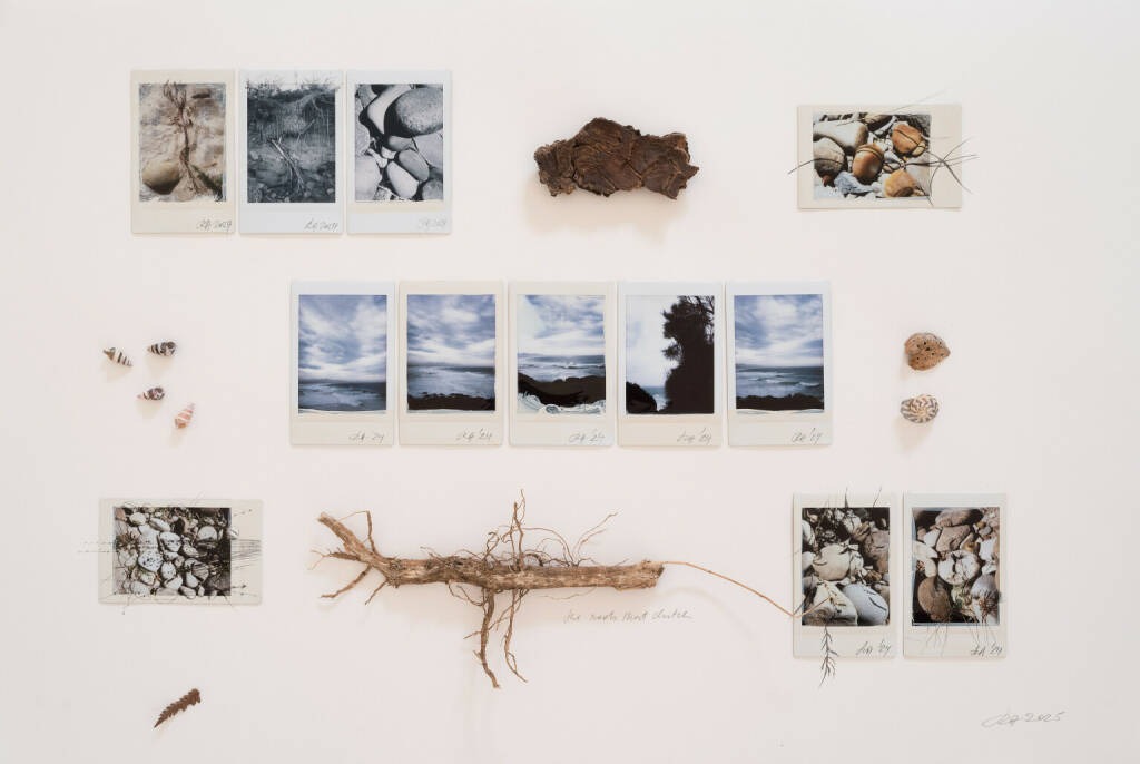 The Australian Journey (Native Grounds) 47, 2025 ©Regina Anzenberger