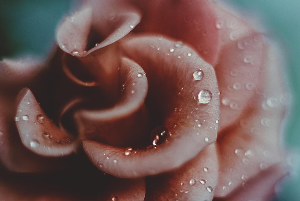 Mastering Texture Photography: How to Capture Stunning Details from Water Droplets to Fabrics