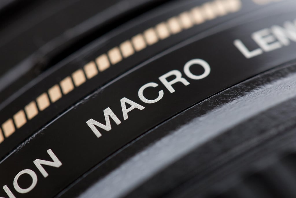 The Ultimate Guide to the Best Lenses and Accessories for Close-Up Photography: Elevate Your Macro S