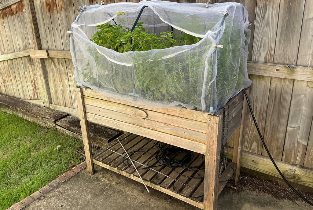 Raised garden bed planter with mesh bird netting protecting herb plants in a small sideyard