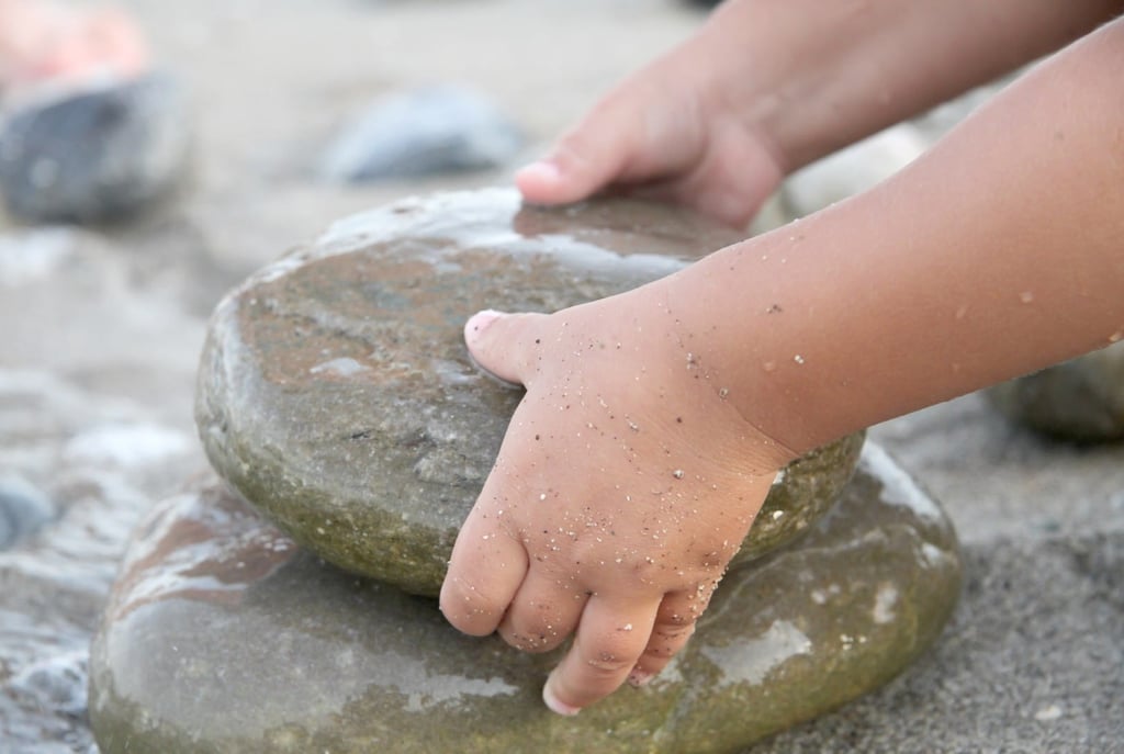 Matematika v gozdnem vrtcu