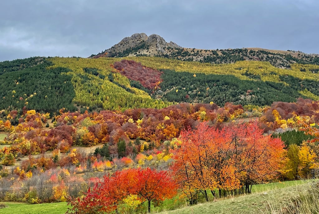 Ceusette_sigoyer_paysage_automne