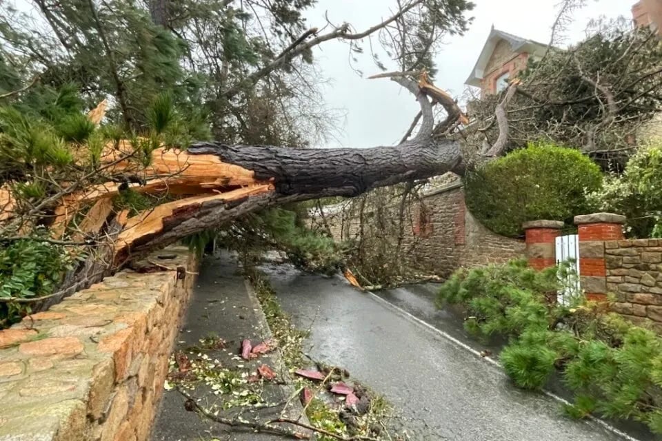 Un arbre cassé sur habitation par Ciaran