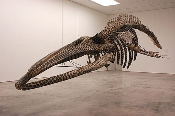 obra  do artista Gabriel Orozco, Factum Arte :: Dark Wave