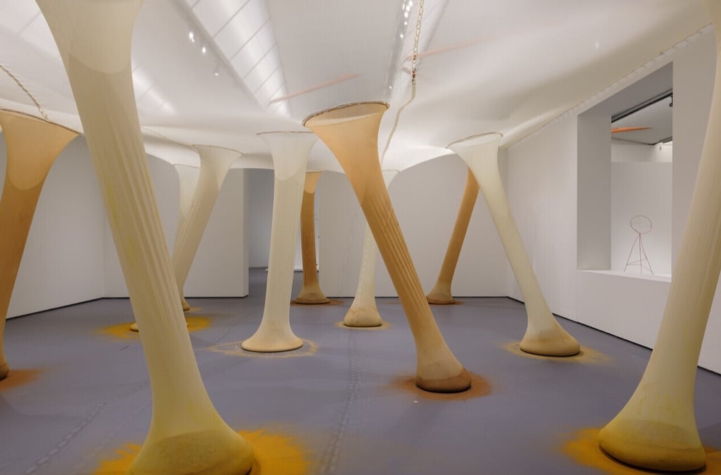 Instalação Ernesto Neto