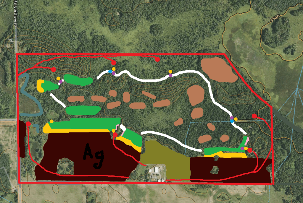 whitetail habitat property design