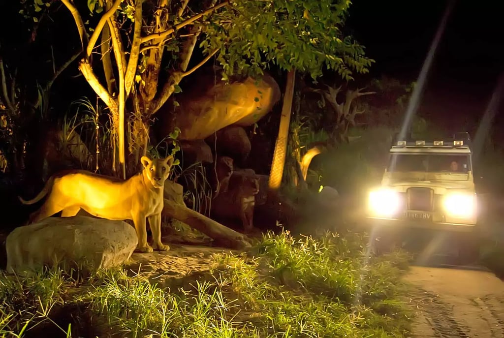 Bali Safari Night Safari