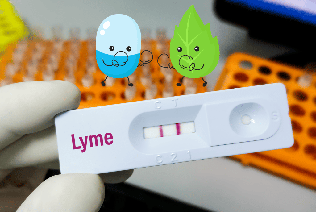 Lyme Disease: Causes, Symptoms & Effective Management. Vegan Diet