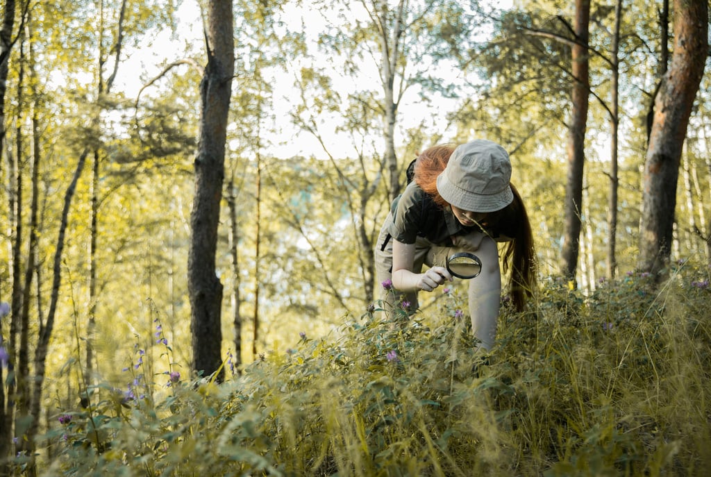Person exploring wooded forest trail, practicing off-trail hiking and wilderness awareness