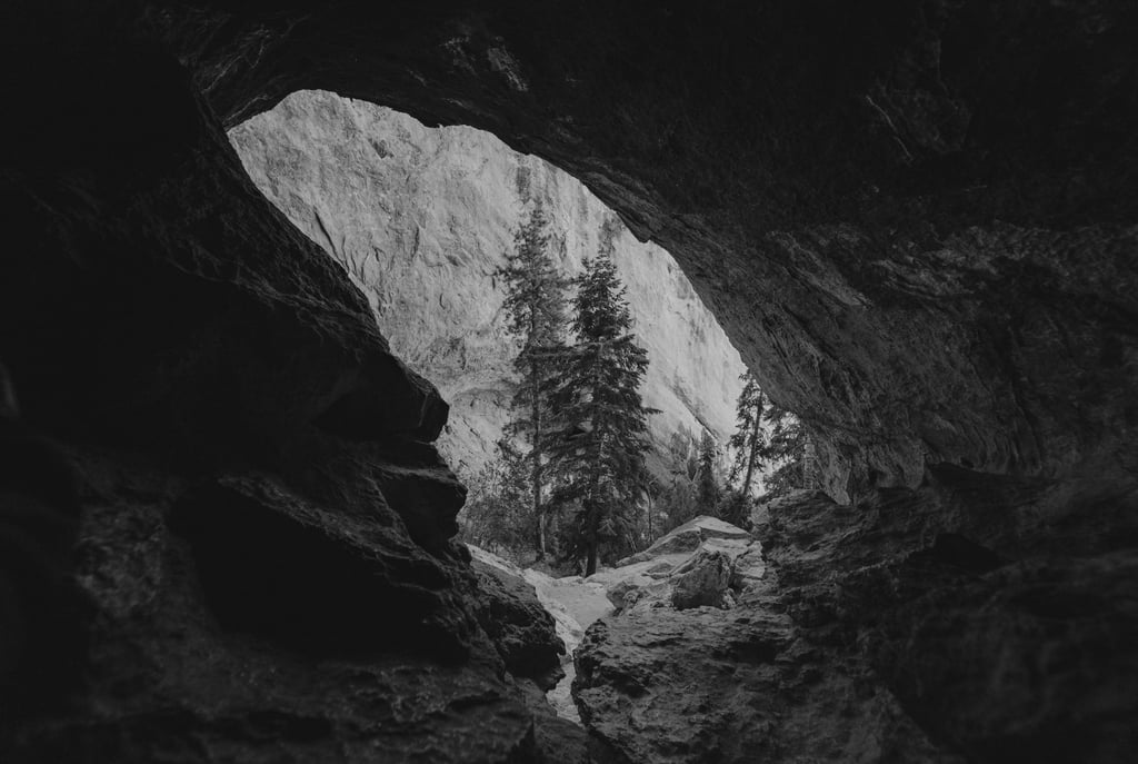 View from inside forest cave, symbolizing natural shelter, terrain awareness, and safety