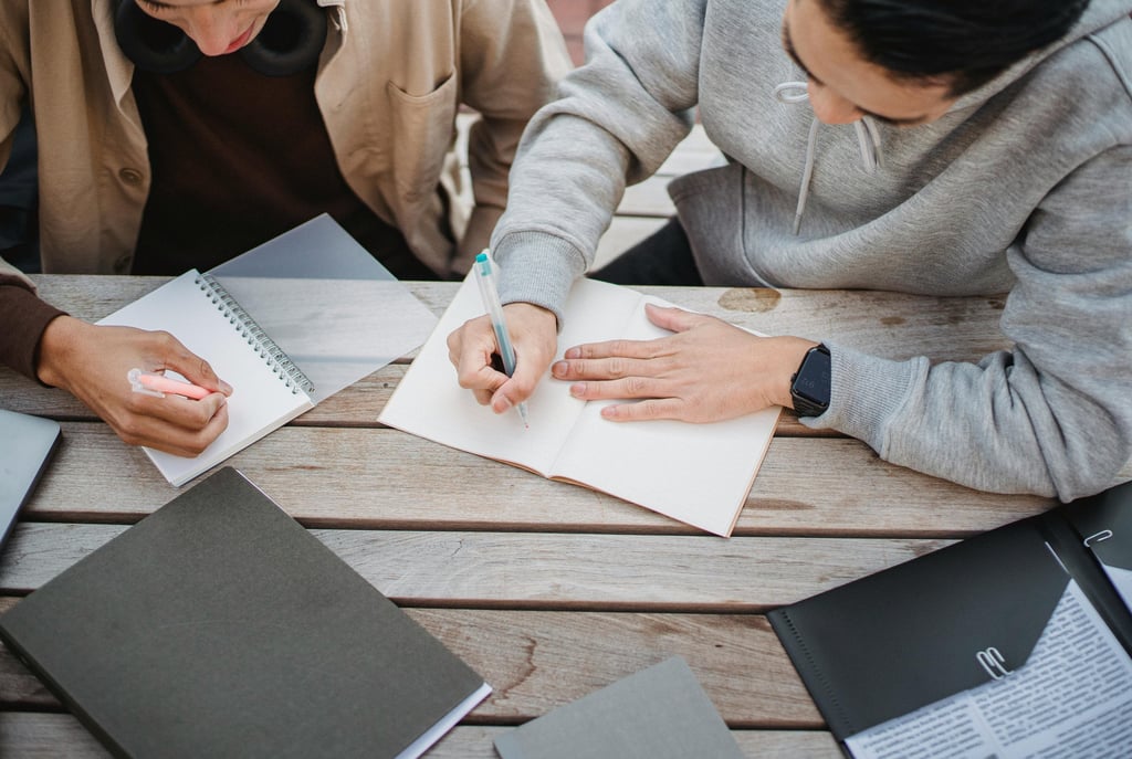 IB Business Management Paper 2 SL November 2024 