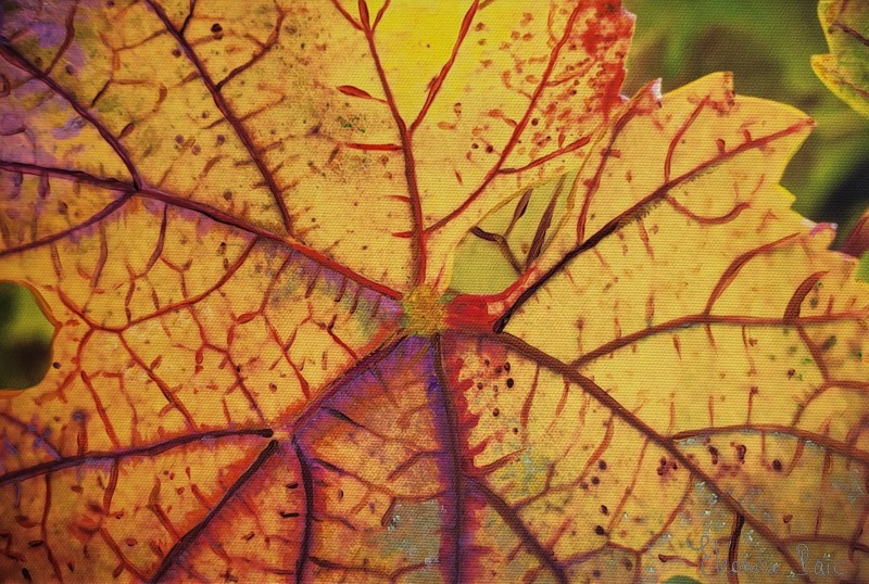 Photo peinte - Série Feuille de Vie FE 03 ©Eléonore Parc