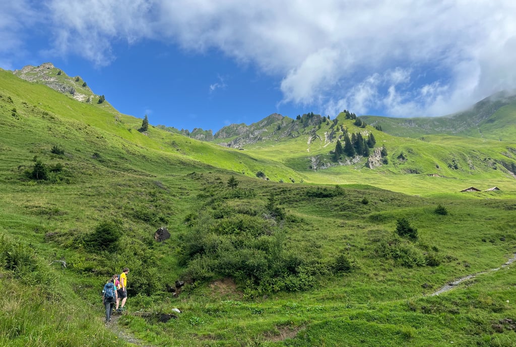 Looking up from Planalp at the Brienzer Rothorn Ridgeline