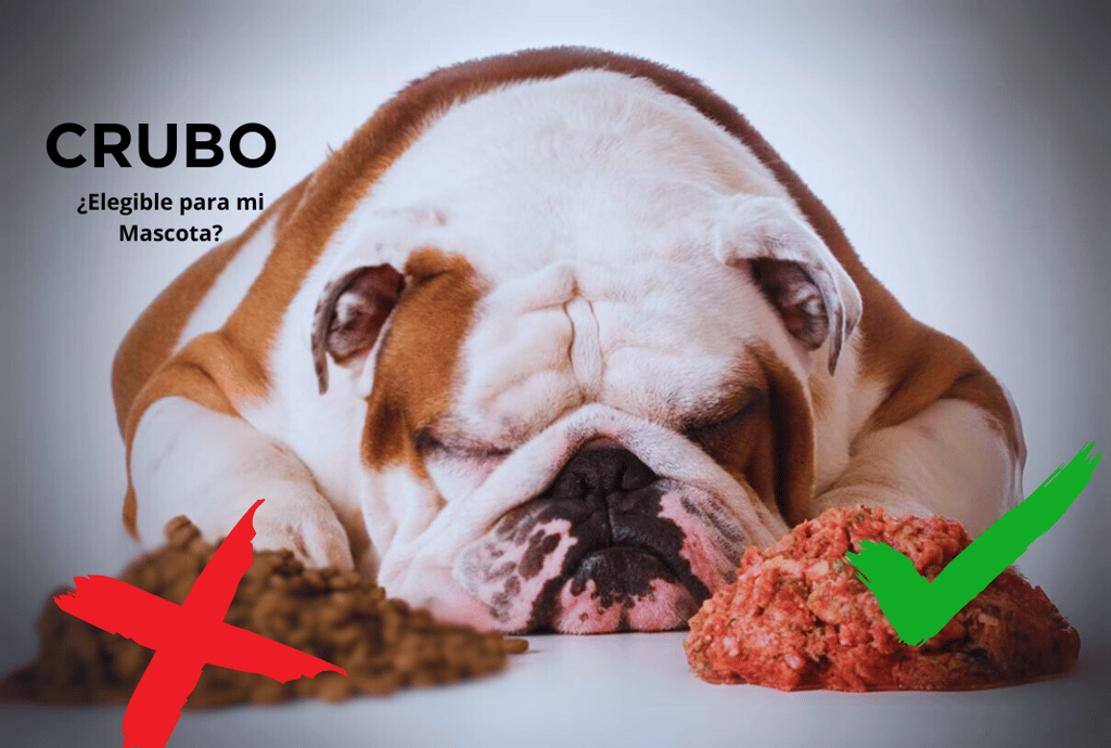 Garantizar una alimentación saludable para nuestros perros es fundamental para su bienestar general 