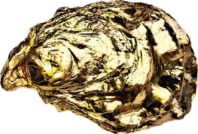 Gouden Oester