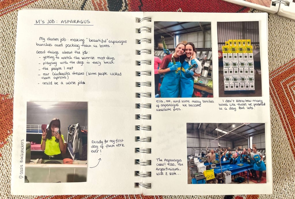 Mi trabajo en una empaquetadora de espárragos