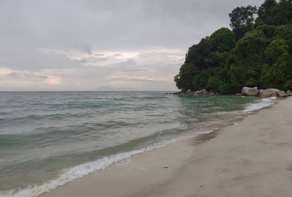 penang national park monkey beach