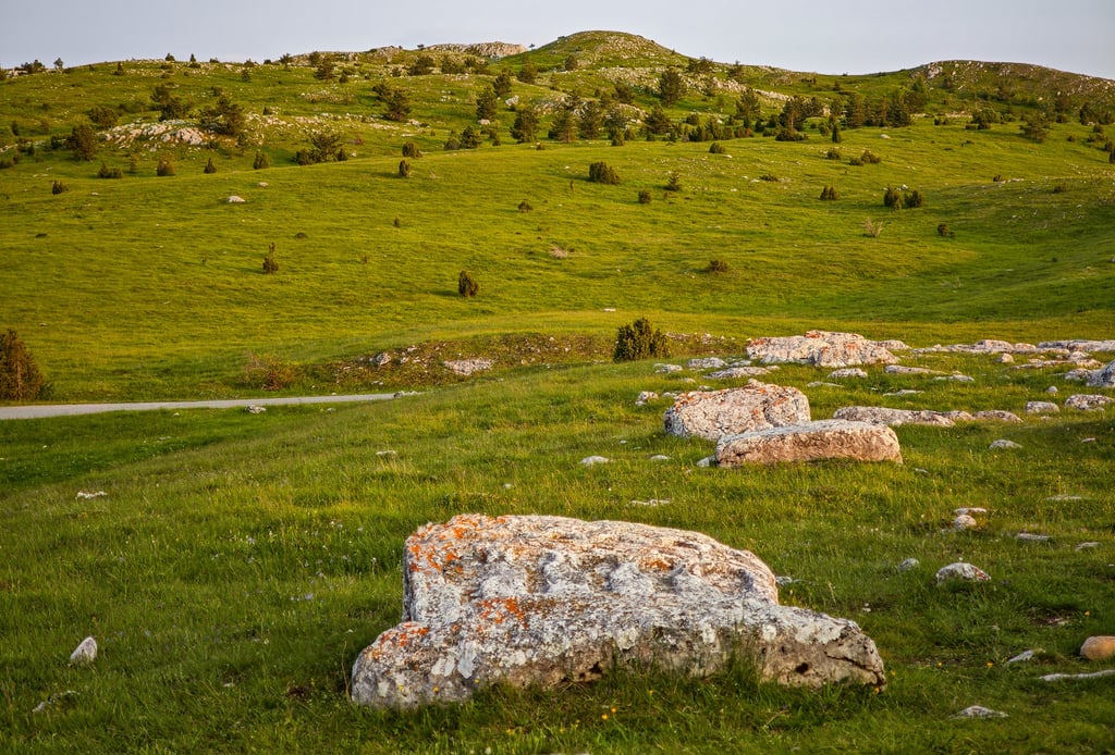 Stećci u Barama Žugića