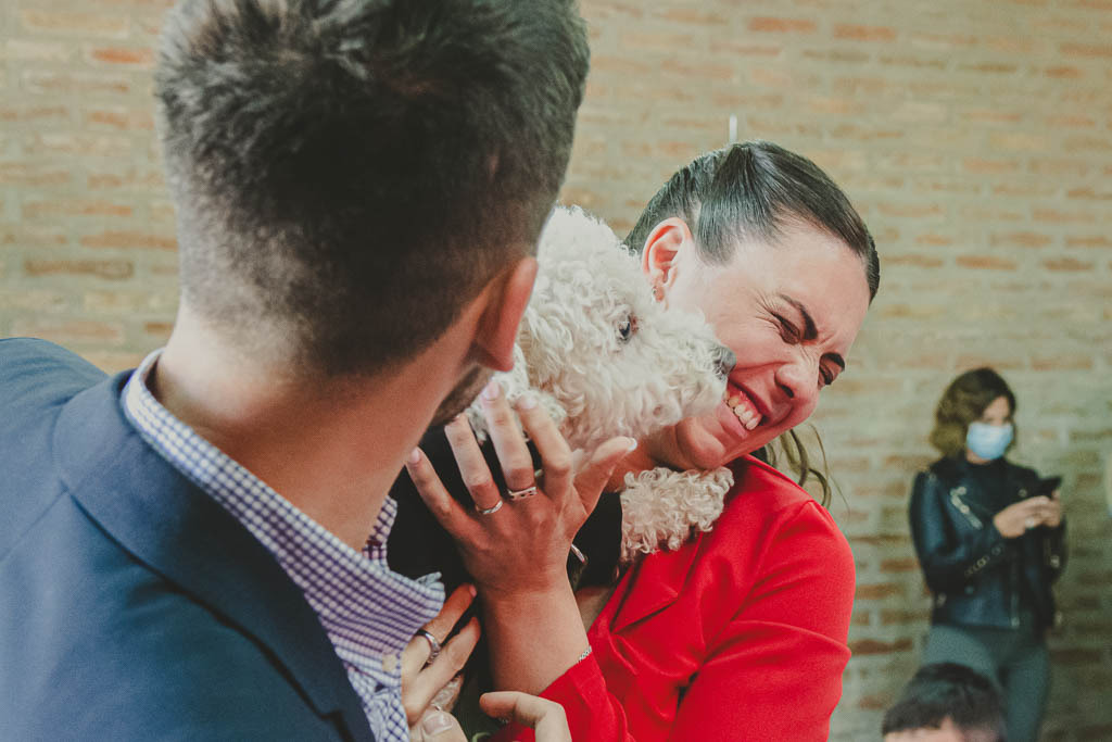 perro lame la cara de la novia fotgrafia de casamientos