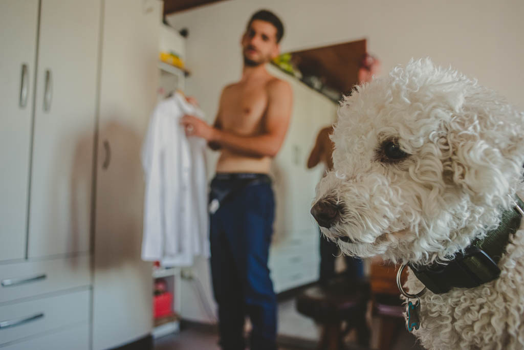 mascota junto al novio fotografia de casamientos
