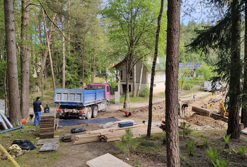 Plautus akmenukus atvežė Darius +37064419000
