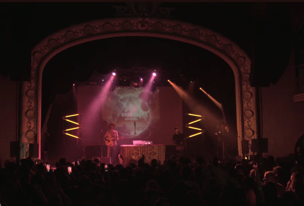 Musician performing live on a theater stage with dramatic lighting at opera house