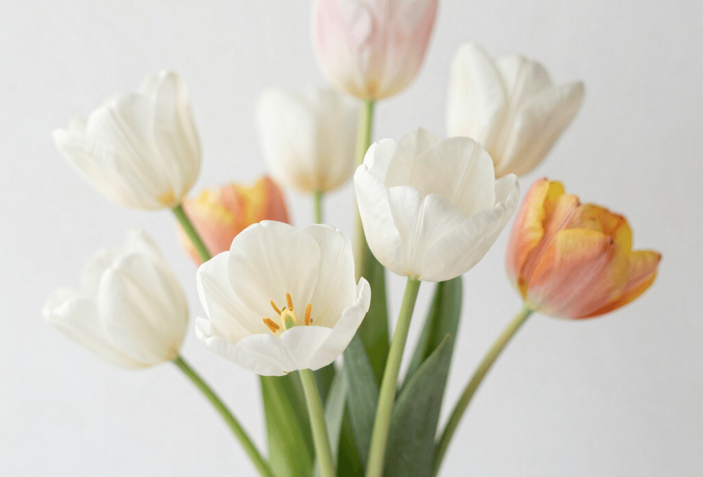 Bright living room with modern inventory