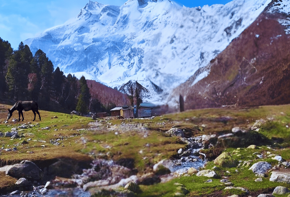 Close up picture of nanga parbat from base camp