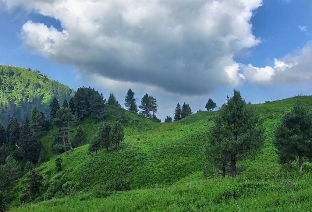 Miranjani top view in summer with clouds in background 
