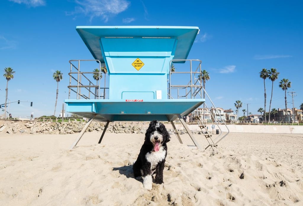 Discover why hbpads offers the best value in Huntington Beach apartments. Enjoy affordable coastal living.