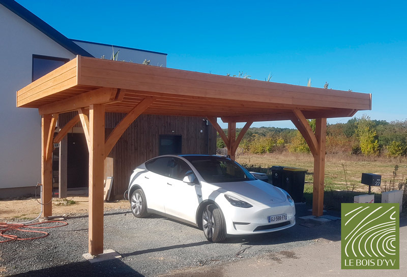 carport végétalisé en bois