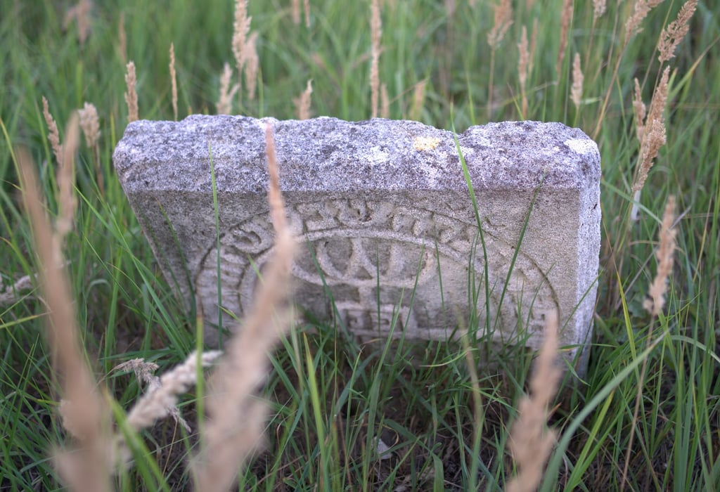 Jewish cementery Lubaczów, Poland