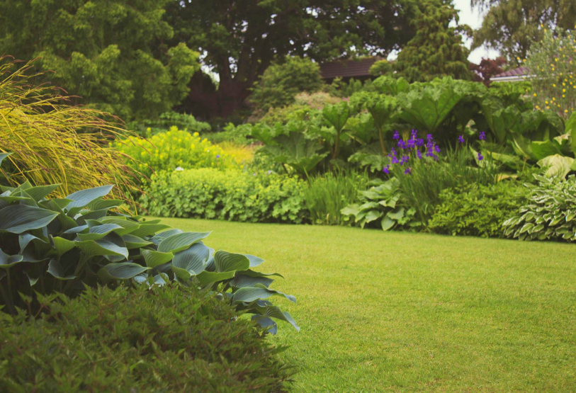 summer-maintenance-williamsburg