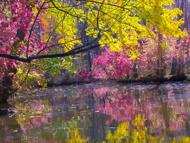 Kayaking Parker's Creek in the Fall.
