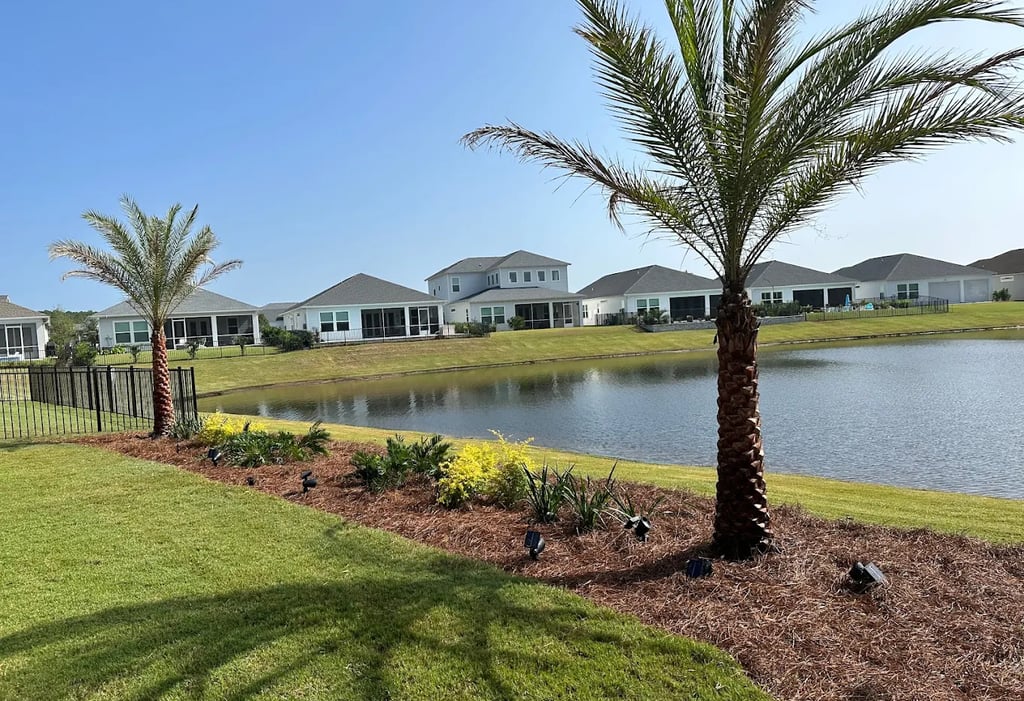 palm tree installation with front pond