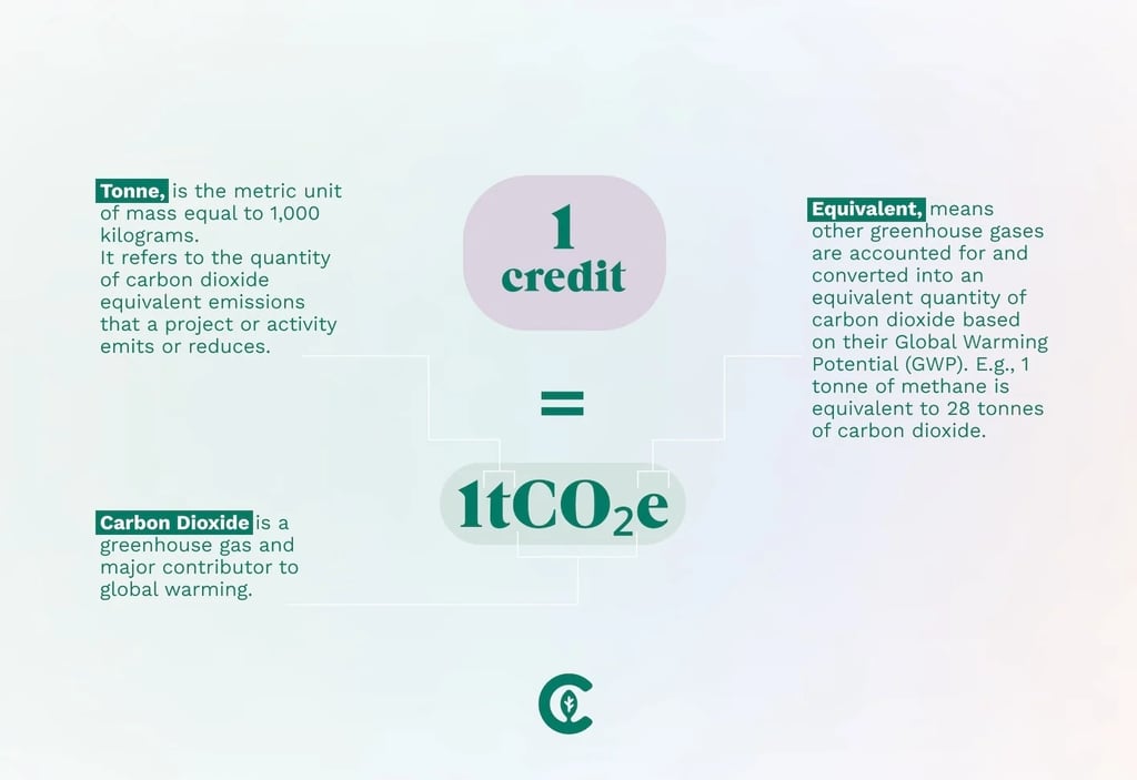 Carbon credit equivalents chart - 1 carbon credit equals 1 ton CO2 India CCTS