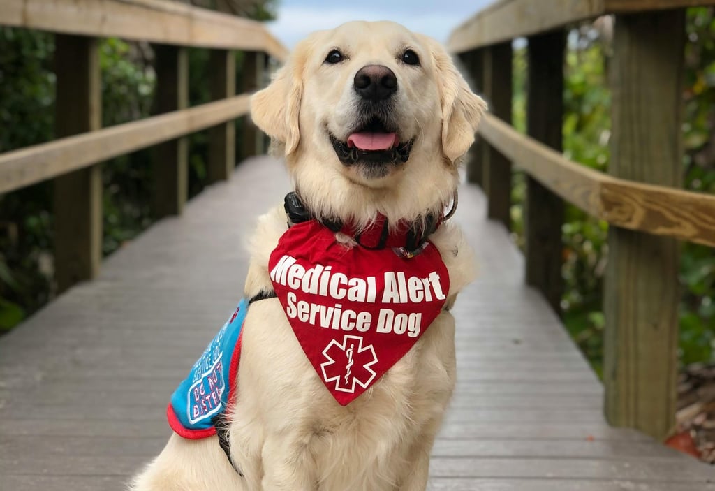 Service Dogs and Companion Animals