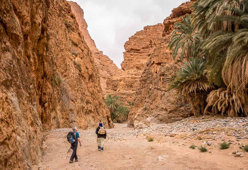 Soul of nomads - Travel Guides - Top Destinations to Visit in Morocco in 2025 - Dades Valley & Todra Gorges
