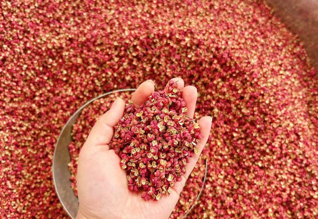 a person holding a spoon of Sichuan Pepper