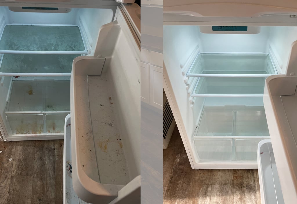 fridge cleaning services