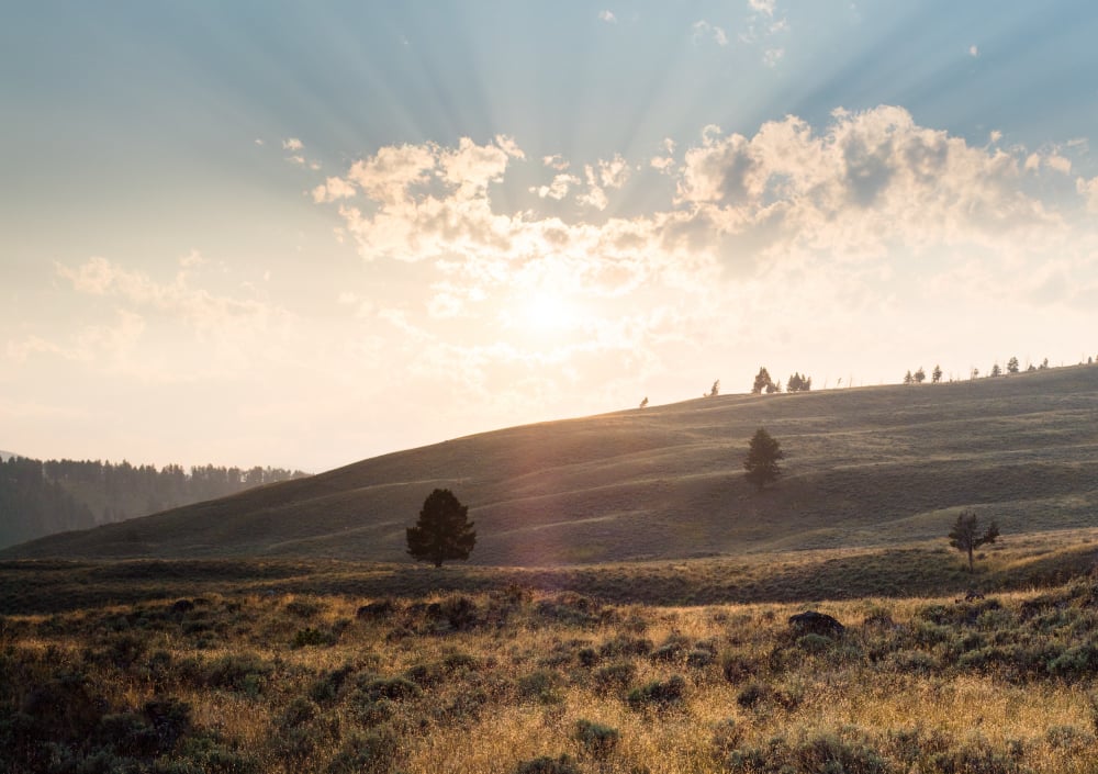 Sl 121 mostra o viajante olhando para os montes (horizonte).
