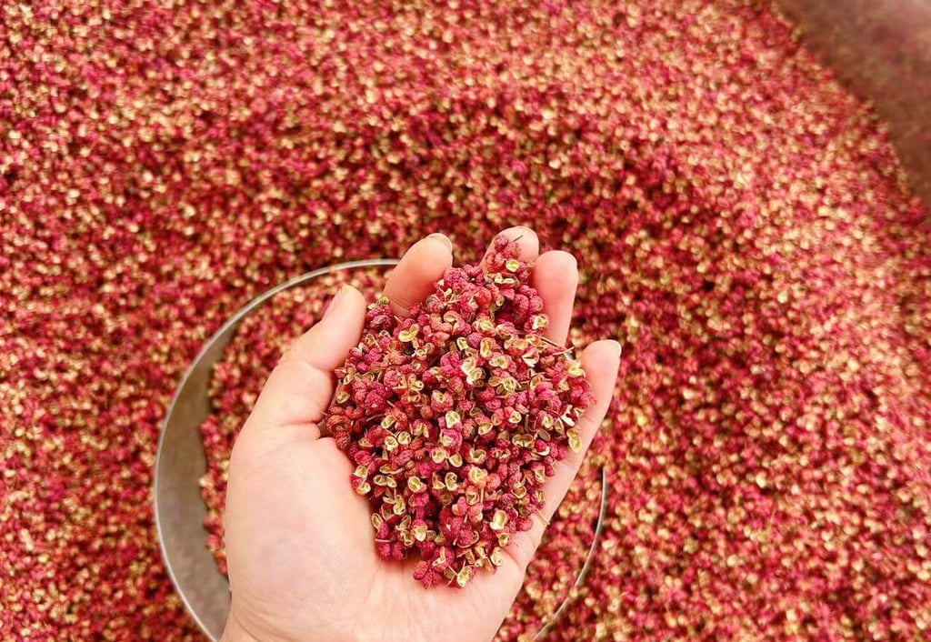 a person holding a spoon of Sichuan Pepper